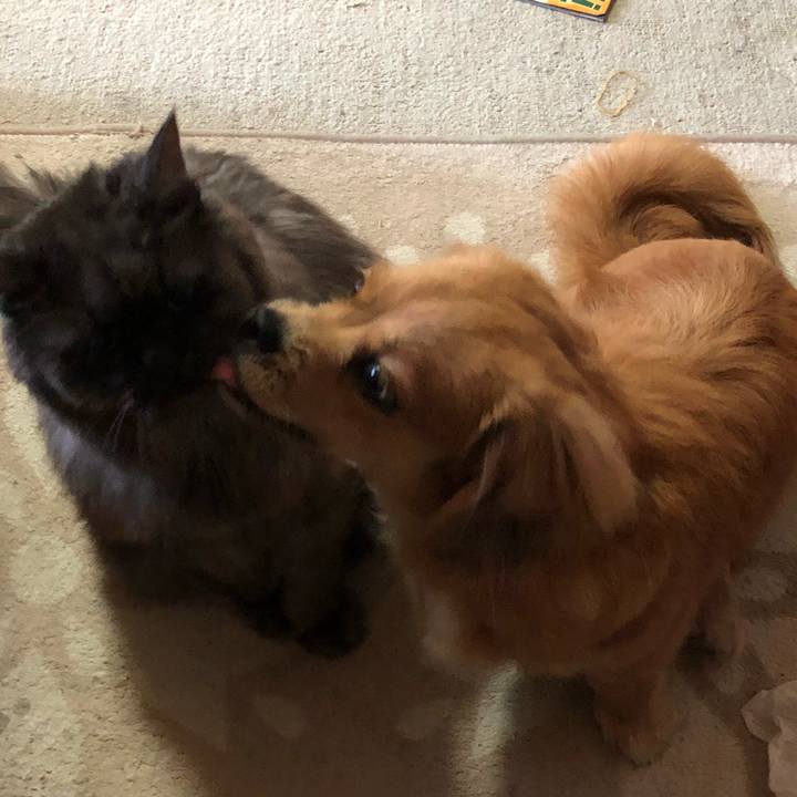 68a3cbce 342c 4a58 bec3 2f65f484929b 1636069446504