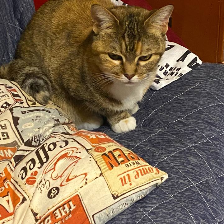 68a3e215 bc1d 479e 83c0 fecde656d2b7 1620990964318