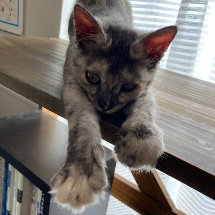 68a3f28c 9094 436a 8769 d64814d465c4 1694929352557