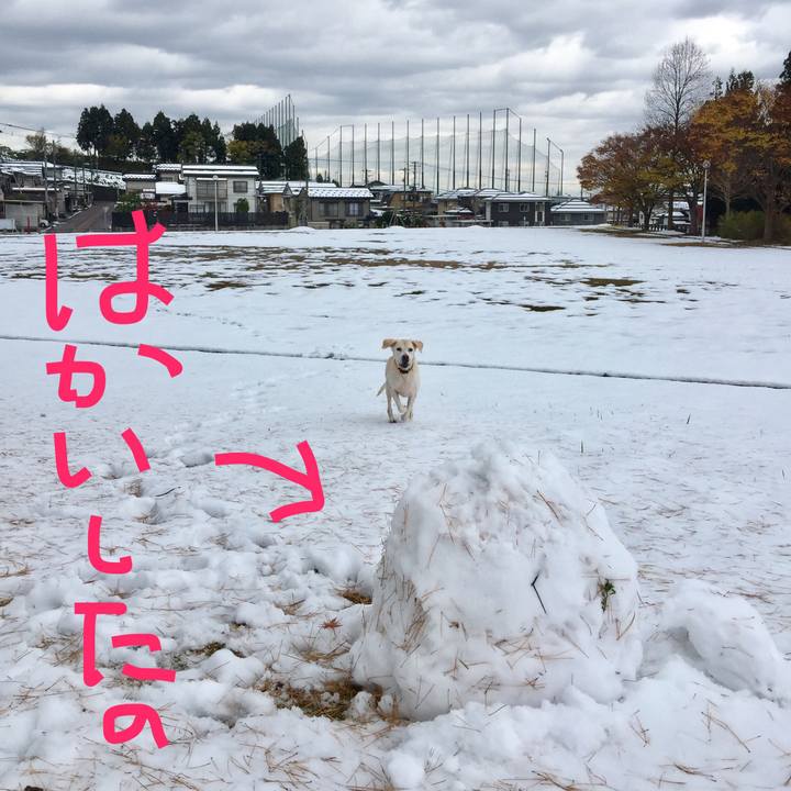 68a40c6e 7681 4a73 83b5 61927acadffb 1511233653915