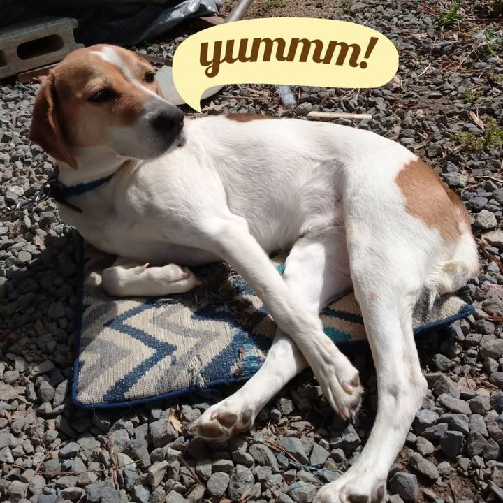 68a40e60 19ad 48d6 93c5 1213bab8fdca 1617082854601