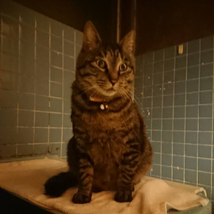 68a41280 f5f1 458a 9362 981db05b1124 1652188931546