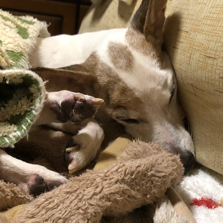 68a4373b 1b0d 433f a9de b9c3979fafaf 1577709762616