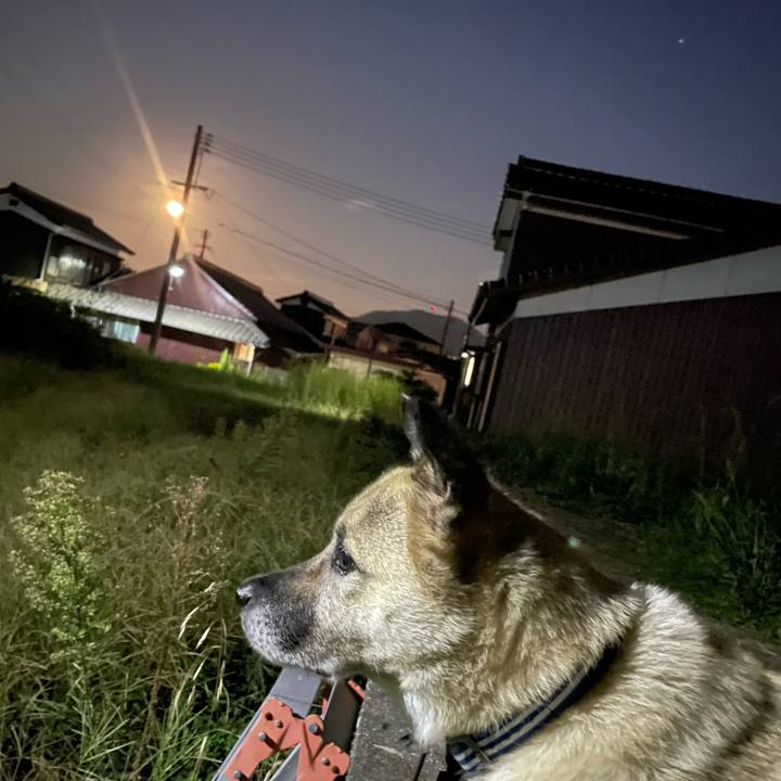 68a4530f afbd 4d4b 8f24 7068cf9a3f49 1695989962055