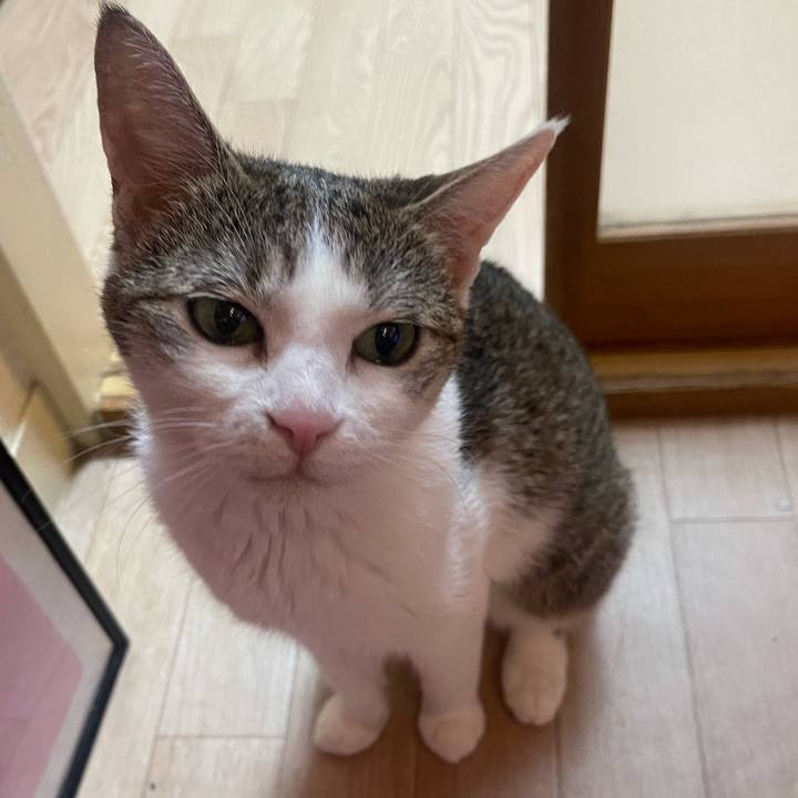 68a46d52 7cfb 4da2 82e8 e6abb58bd18b 1625237678028