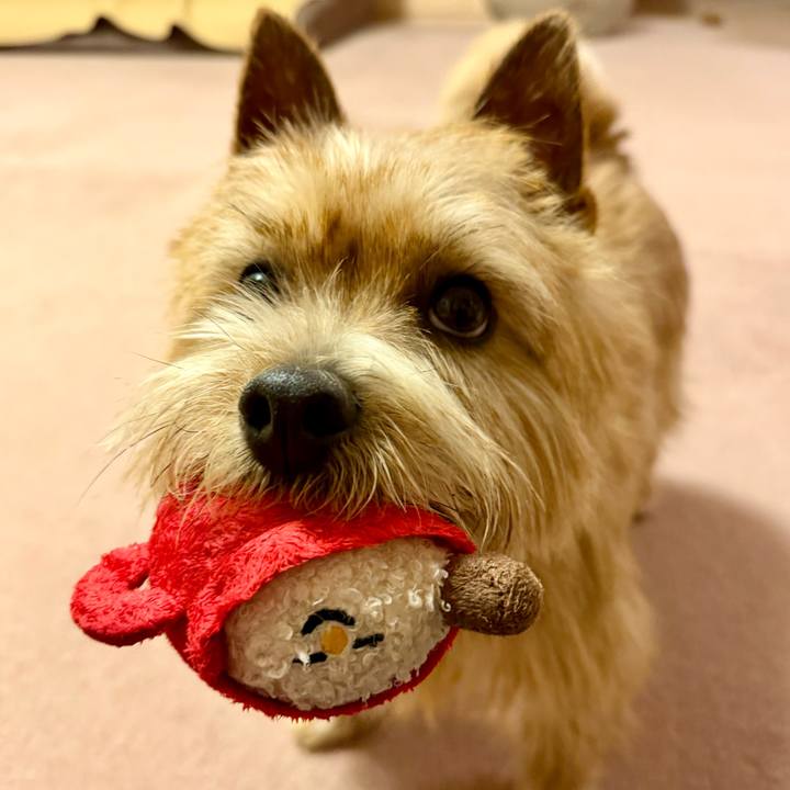 68a48313 f5b1 46ec b762 b864de6e5131 1770874778243