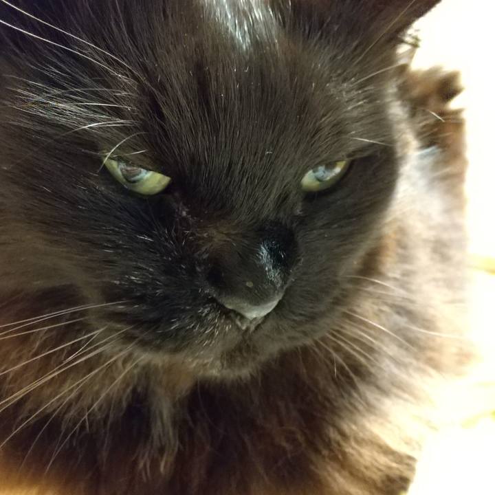 68a4b518 5998 412a 832c 3c7babcfc33e 1580287374893