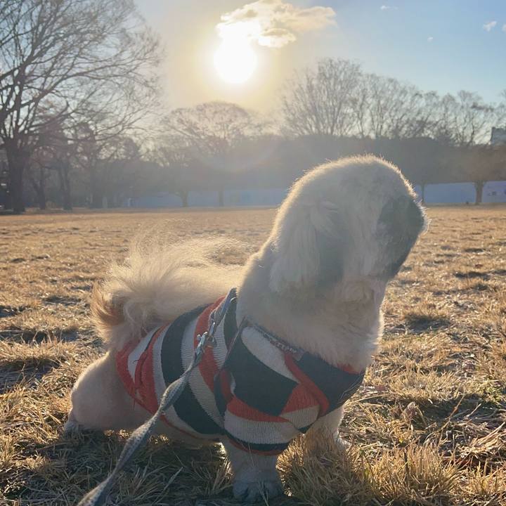 68a4b51c 7e66 4333 9d64 b6270d867af8 1734740234582