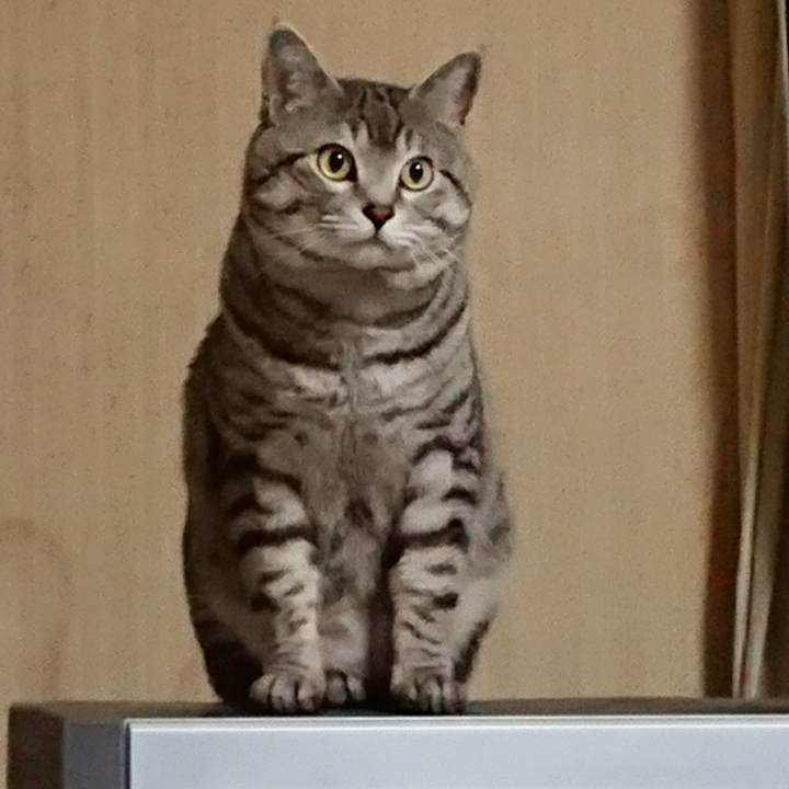 68a50d9a 93ba 4ed4 850b 9d8bc0b66ddb 1522328343128