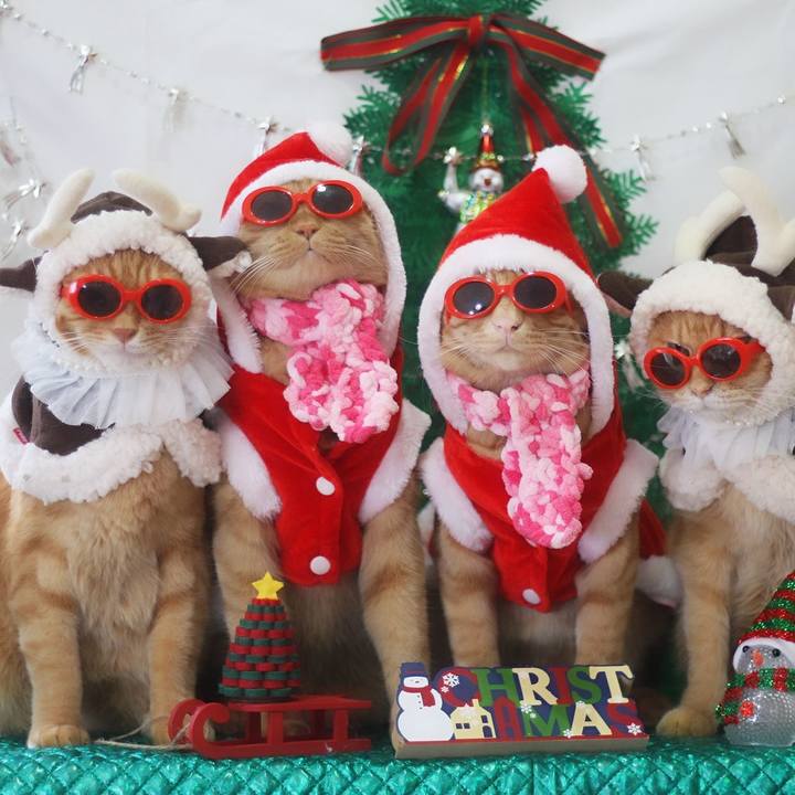 68a540d2 55d9 4837 a35a 76cf38cc1b0a 1703473726488