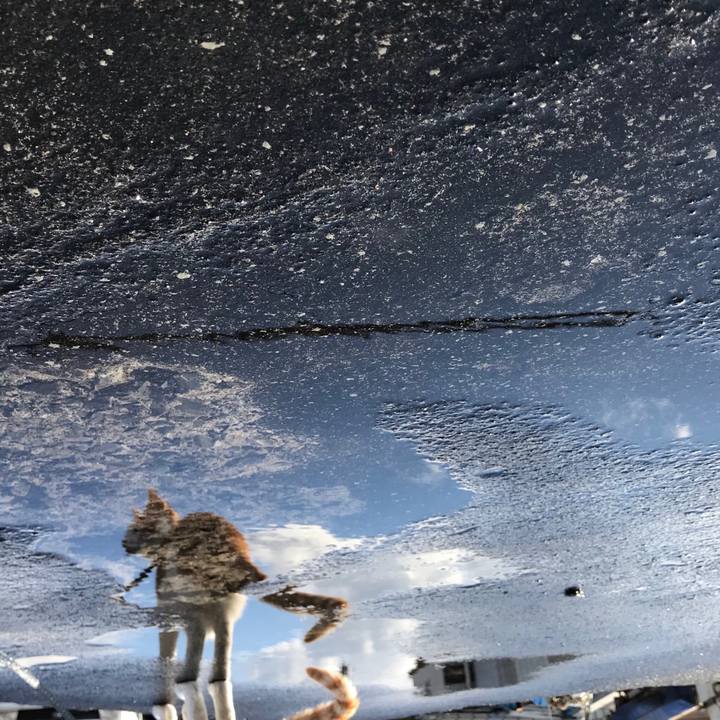 68a56bb8 2e8f 4b3f 932f b32d905f0b06 1511504338465