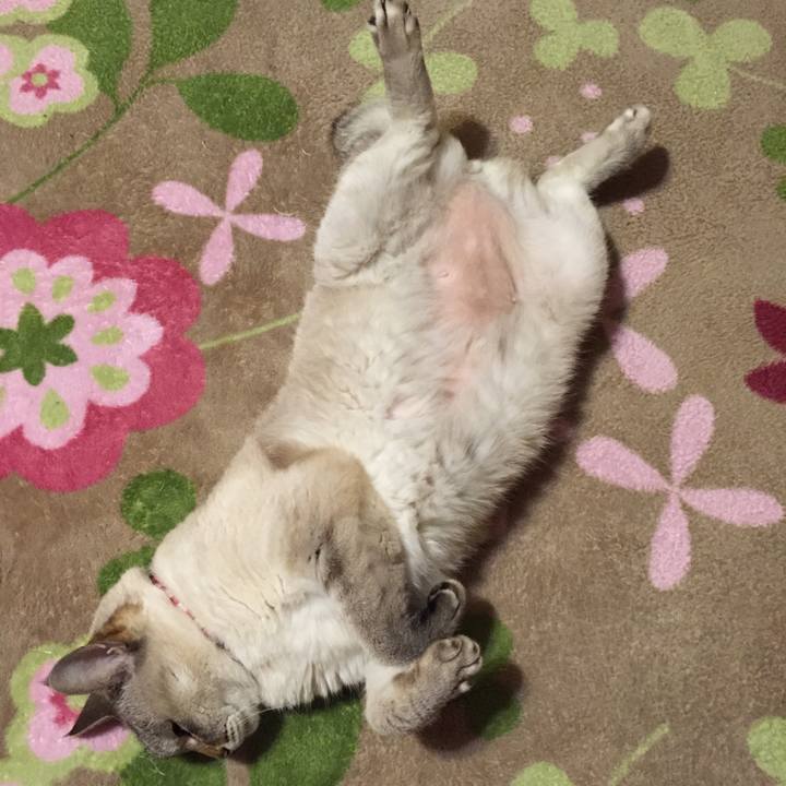 68a57438 a33a 434f b24e 09ecd555f8a3 1515448077445