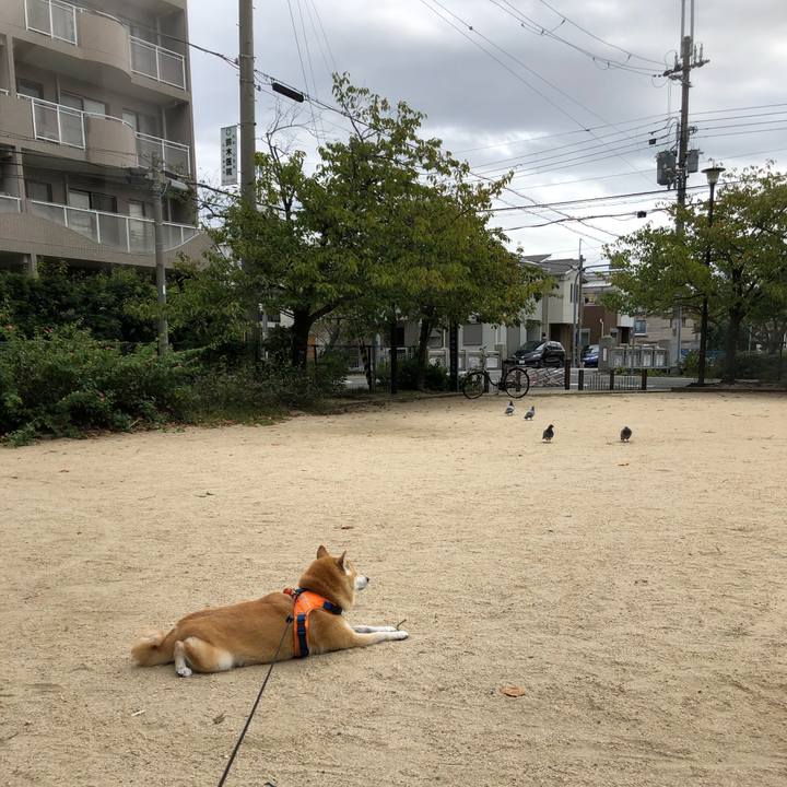 68a57896 c637 46c4 9d0a 0c310dcea7c7 1571394916365