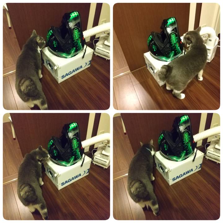 68a5c9e5 9976 4d13 9dc7 666b35459f6e 1630925866693