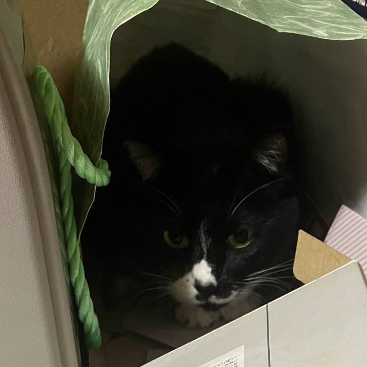 68a5fc08 dc96 4659 957d 983af970c028 1699176475191