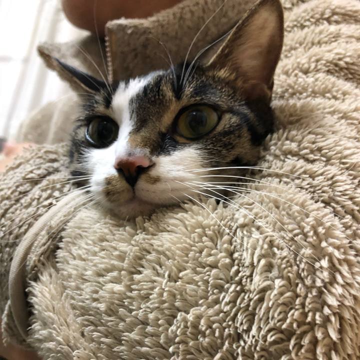 68a6b5f0 b9cc 4aff 94e0 491b1034f9e7 1550806011574