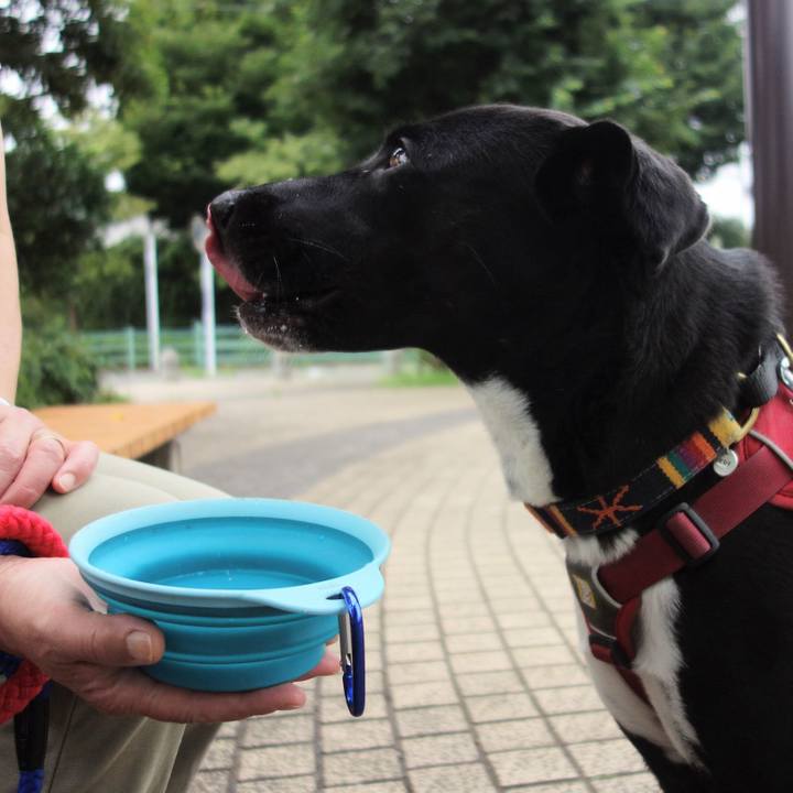 68a6dfd4 49be 4c2e a5ad 93e944fe4b4f 1594600525712