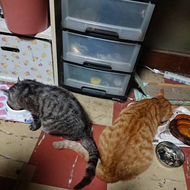 68a6ea79 508f 4a0e b216 3ec62ee1a88a 1567800635001