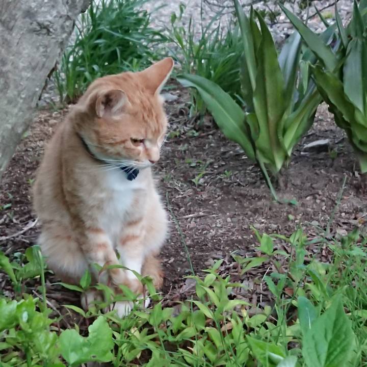 68a71697 b1a3 415d 9178 9e8f4eb2da75 1560770142103