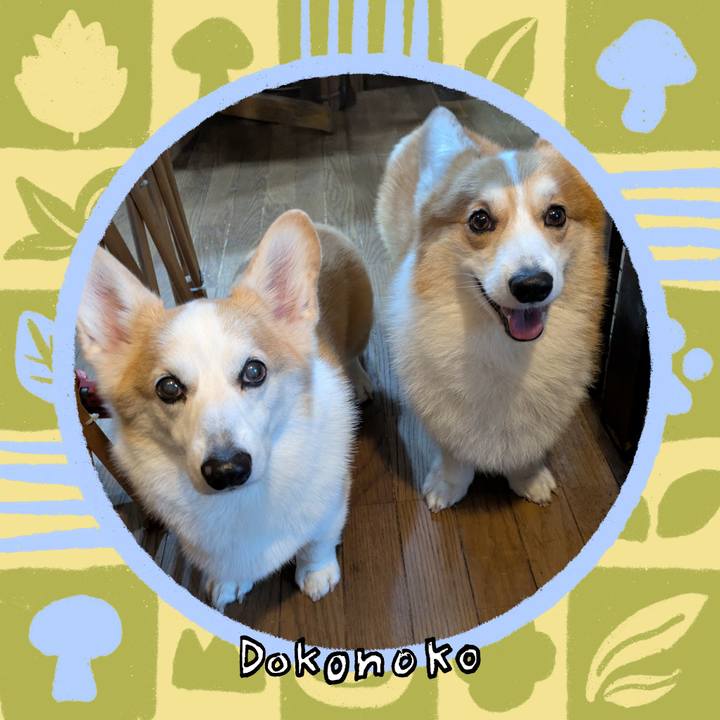 68a72c83 27a4 4b85 94b9 3af795d17ef4 1761452587229