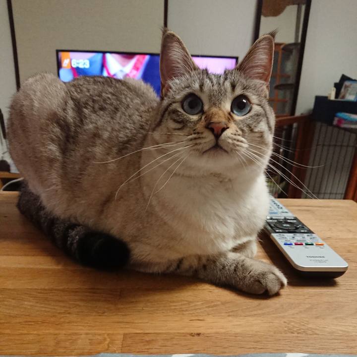 68a75f0c 5b92 4609 8a3b 7036acdf7b41 1557739446636