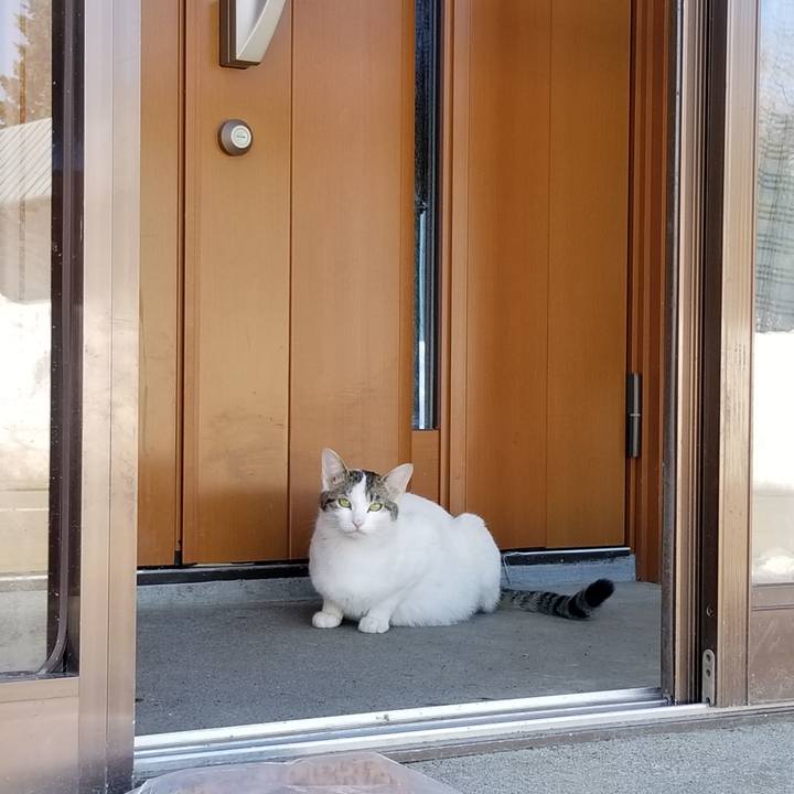 68a76f83 2325 49c3 8ad3 81f2a2128074 1584508241970