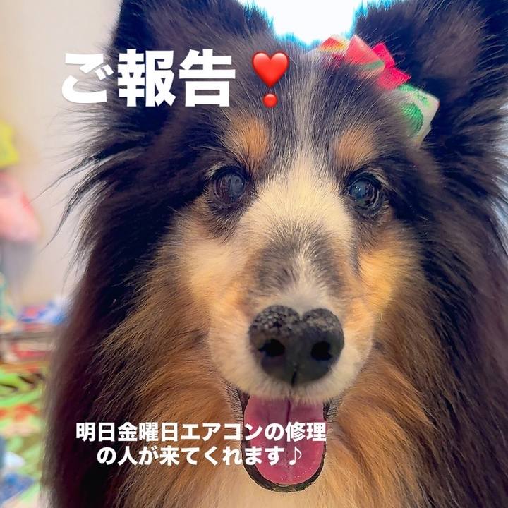 68a79549 b962 4aa7 92b2 0e684b2e6e47 1753377686864