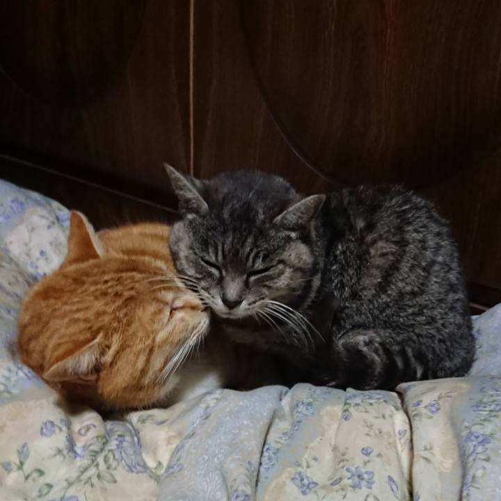 68a7a0a0 44c1 48d1 bece 24cf6d198ef9 1579265962548