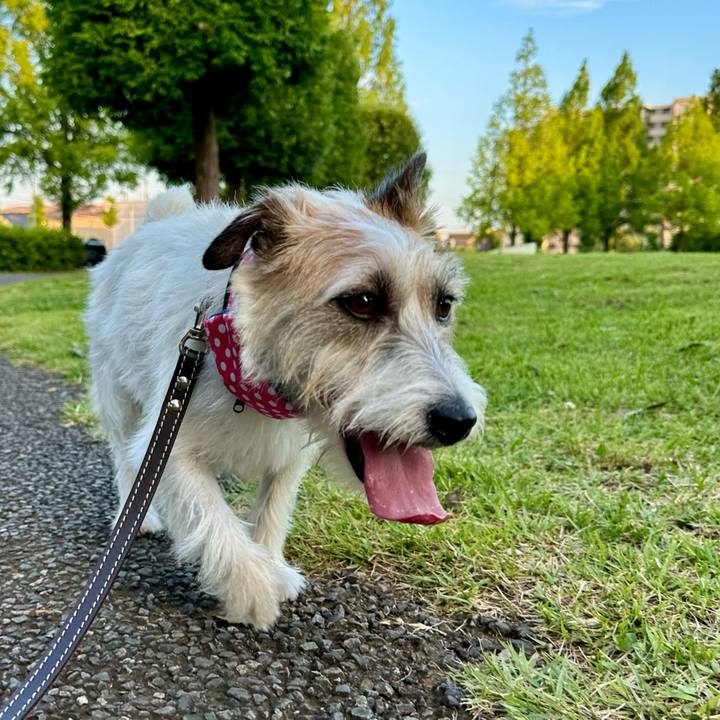 68a7abd5 4783 4d61 abd1 8a4acf2b6c64 1751142741327