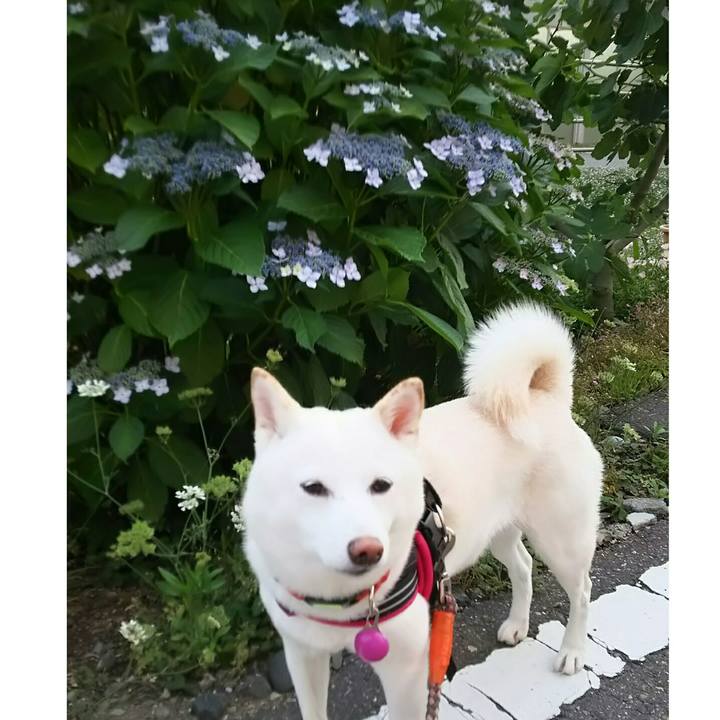 68a7c994 3b72 4385 8285 ae12ec157e21 1560853396050