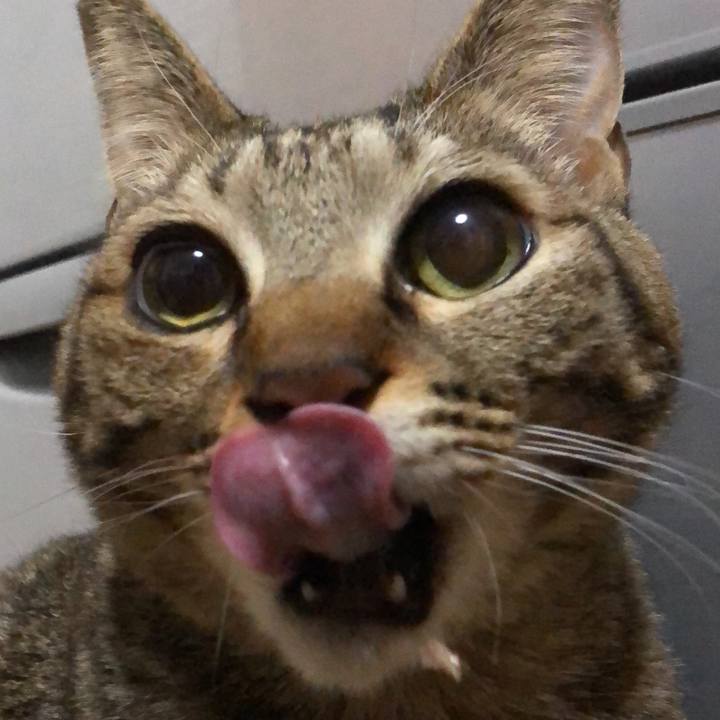 68a7cfc6 f432 4da0 abf6 62bffbcd6da0 1610316322280