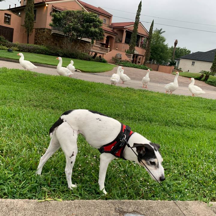 68a7dbae 8e7b 4d85 bda7 d1c56edc038b 1631051299848