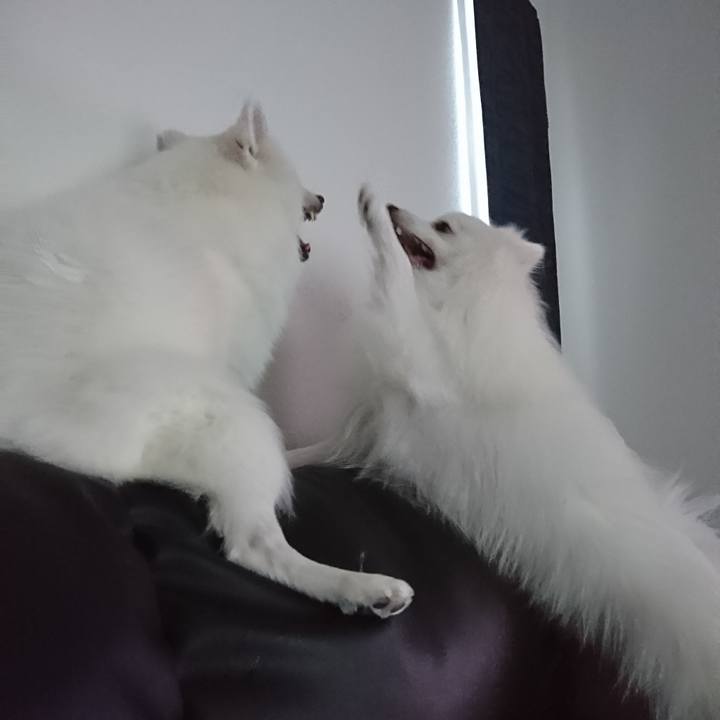 68a7f4f1 8c87 4f91 a7da c9af5a60c262 1577080020089