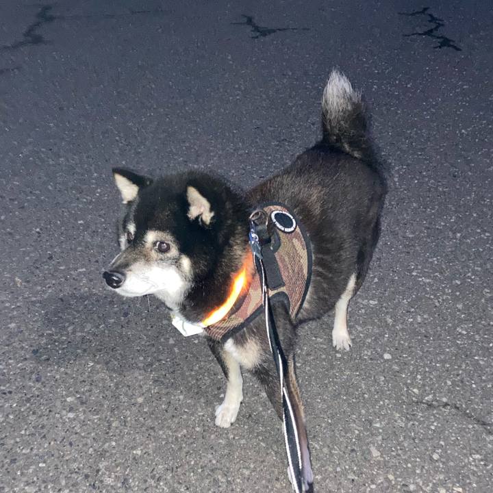 68a839ac 5ca2 419f a7bd c006d95b372e 1668765196207