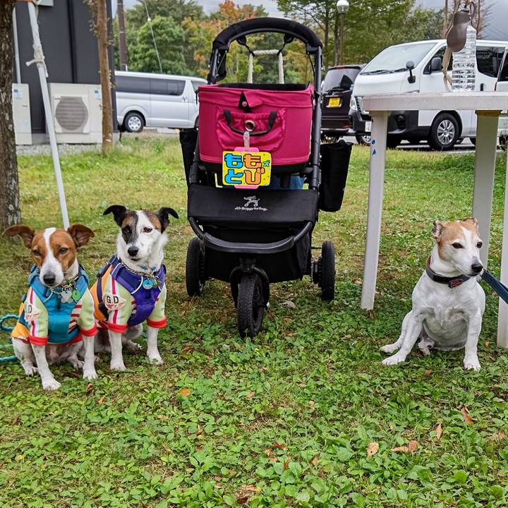 68a8fd51 767c 44b7 b5fa 97d5ac45bbad 1633841777279