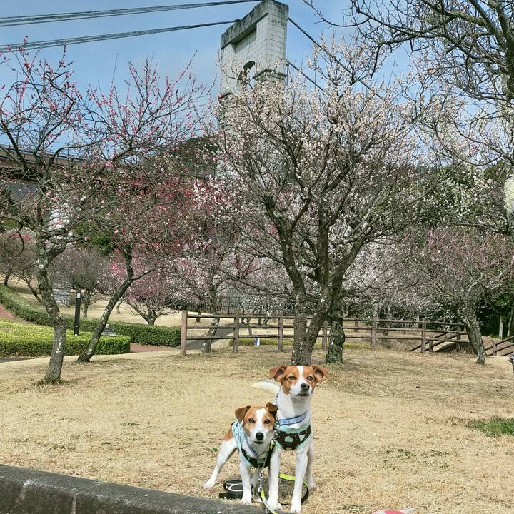 68a905bc 53a1 46d3 a193 8b3dcb941a56 1771923654666