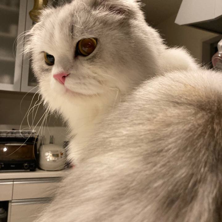 68a9093a 39c0 4864 babc dcd831719fe3 1652134683114