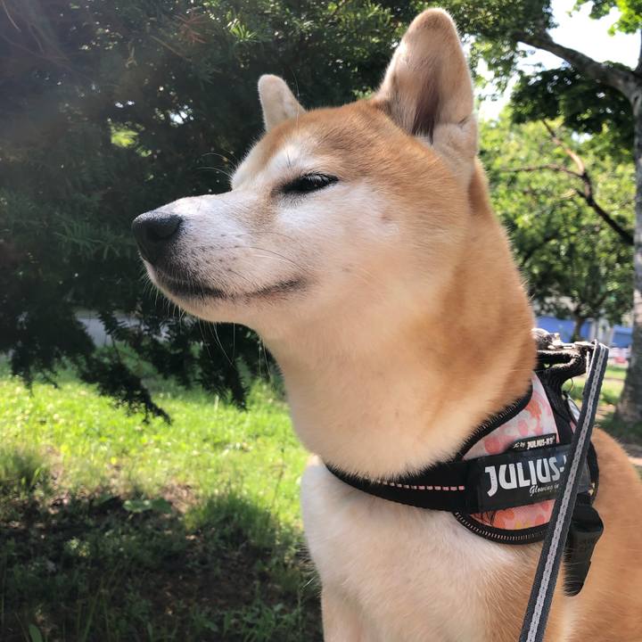 68a91291 d101 4103 851d b624fbde6b13 1562564231924