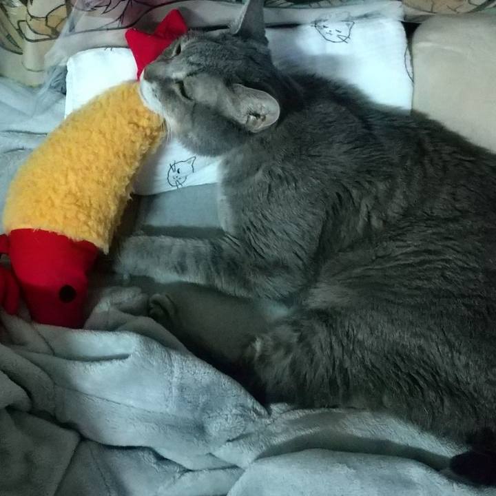 68a938da e68b 4854 9fdc cfd58acbbcd4 1698043356472