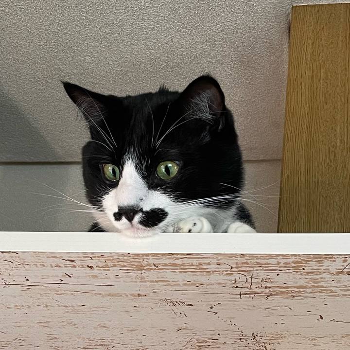 68a94853 0d1a 47a4 8588 5b90cc05794e 1652841672185