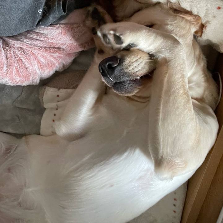 68a96887 ab8b 4a3e ae64 4ecfb746f81c 1645244235704