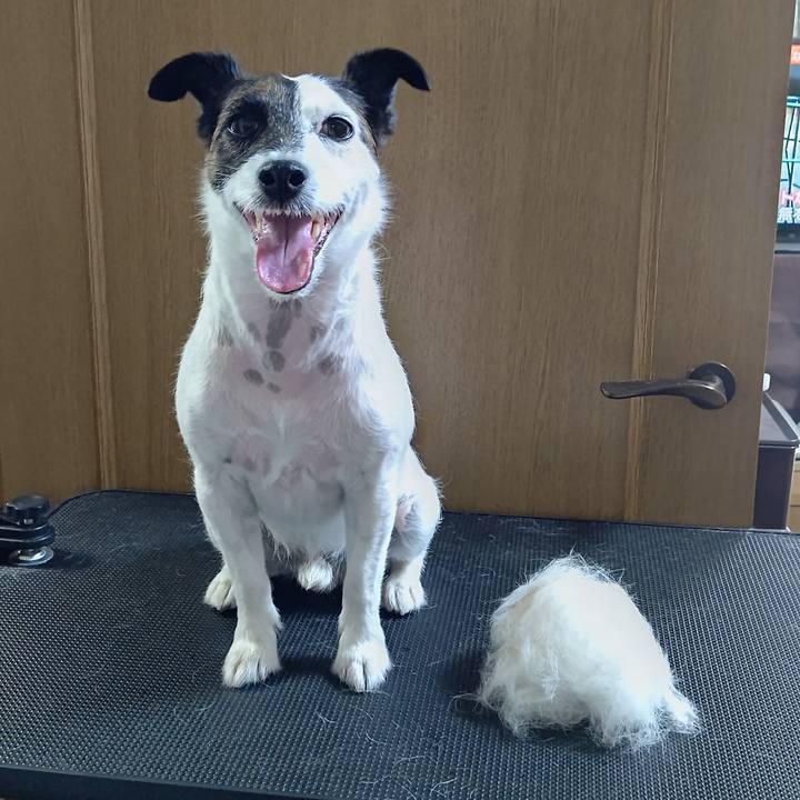 68a99bd6 cda5 498a ada8 a0e63058c1bb 1687299888548