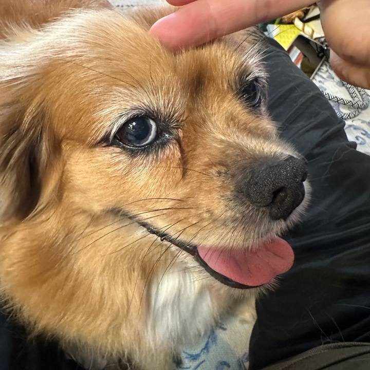 68a9b257 df17 4ea1 9113 7f72be9683ca 1756761991727