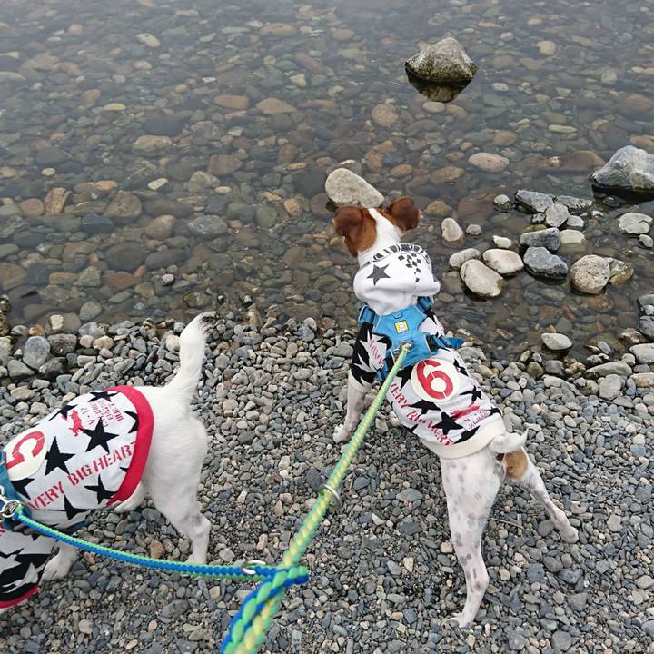 68a9ba4d 184d 4128 8d8f bb74730ae13c 1606017082811