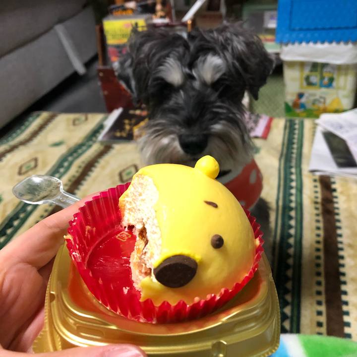 68a9fbb4 029e 48e9 ba6c 20ac74b6ba61 1608561531381