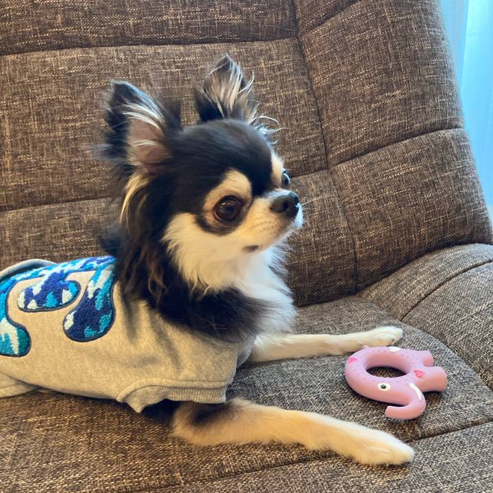 68aa1ad9 b3eb 41a3 a216 4219dbf31b51 1709998958732