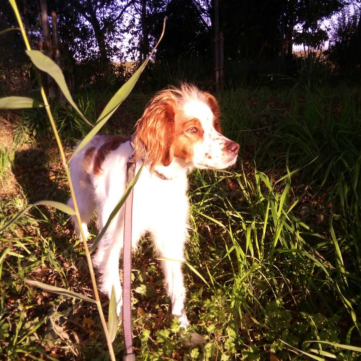 68aa1faa 8304 4bf4 b079 d49399a336d4 1511570000559