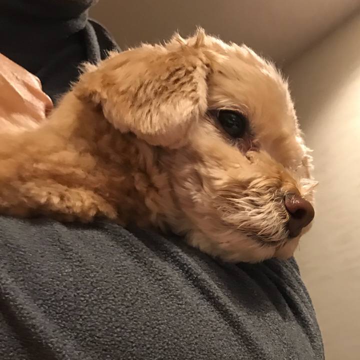 68aa3041 7548 46b6 bddc b802fd5cfb7e 1516178141950