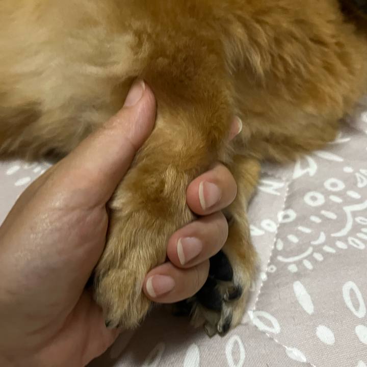 68aa3839 a561 408d 9515 ee9ec9e3774d 1659782411055