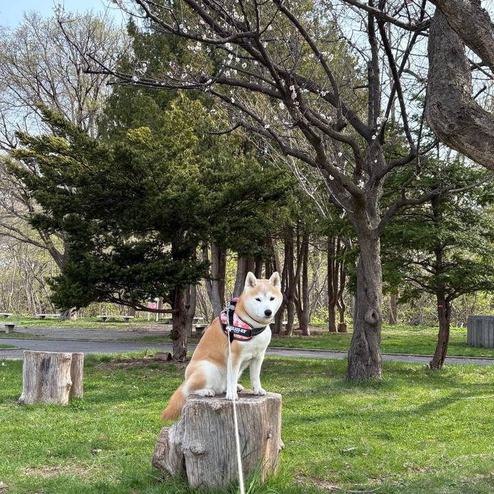 68aab0f8 771c 4912 84af e6703f1dc4e0 1777290099605